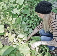 /album/fotogalerij-instagram/a12321-png/