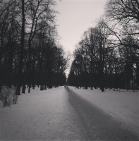 /album/fotogalerij-instagram/adawdaw-png/